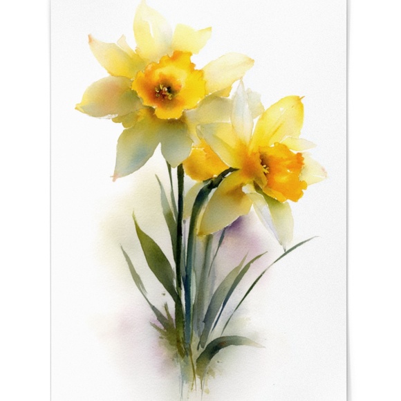 Watercolor Daffodils Flowers Wall Art Illustration Print Poster Unframed - Picture 6 of 6